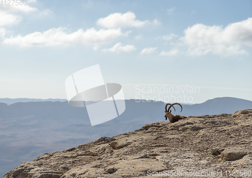 Image of Trekking in Negev dramatic stone desert, Israel 