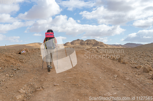 Image of Trekking in Negev dramatic stone desert, Israel 