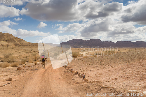 Image of Trekking in Negev dramatic stone desert, Israel 
