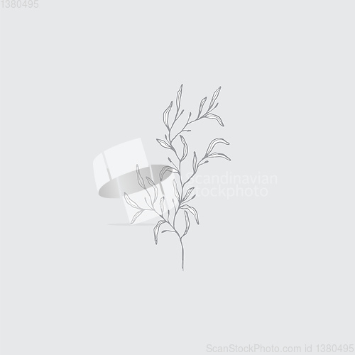 Image of The basic minimalistic form of botanical flowers without decorat