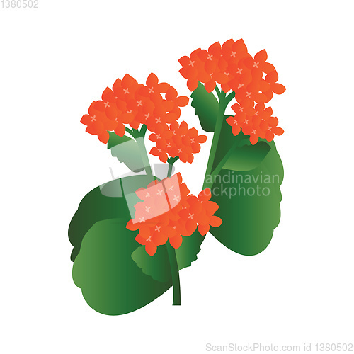 Image of Vector illustration of orange kalanchoe flowers with green leafs
