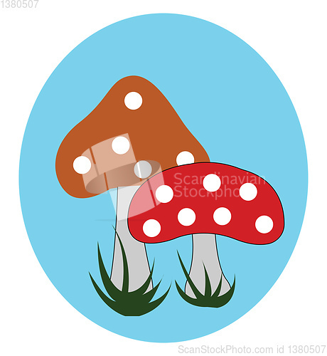 Image of Portrait of two mushrooms over blue background vector or color i