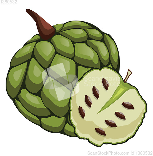 Image of Green cherimoya cut in half cartoon fruit vector illustration on