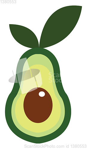 Image of Clipart of a half-cut avocado fruit vector or color illustration