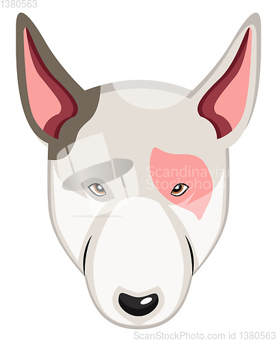 Image of Bullterrier illustration vector on white background