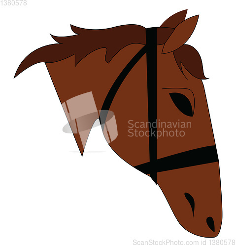 Image of Vector illustration on a brown horse head on white background 