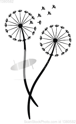 Image of Pair of a dandelion silhouette vector or color illustration