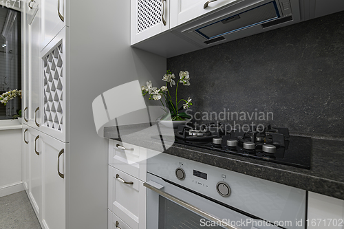 Image of Luxury well designed modern black and white kitchen