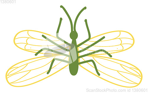 Image of Green insect with wingsillustration vector on white background