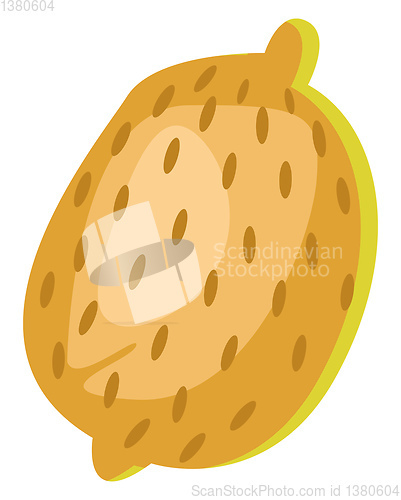 Image of Papaya, vector color illustration.