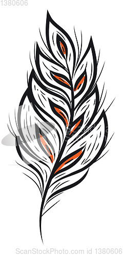 Image of A black feather vector or color illustration