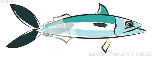 Image of Drawing of the mackerel fish vector or color illustration