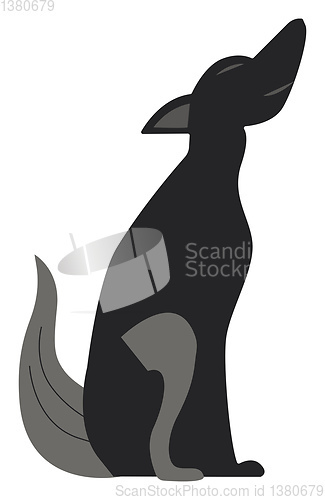 Image of Howling wolf at night vector or color illustration