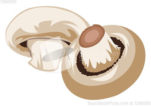 Image of Light brown mushrooms vector illustration of vegetables on white