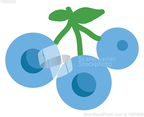 Image of Blueberries forest fruit 