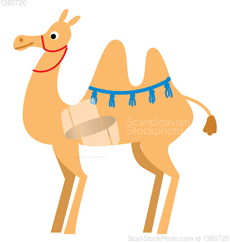 Image of A light brown camel in the desert vector or color illustration