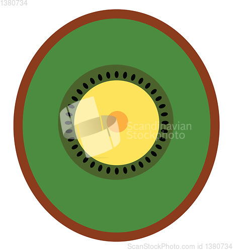 Image of A kiwi vector or color illustration