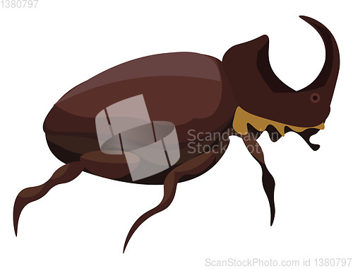 Image of  Rhinoceros beetle, vector or color illustration.