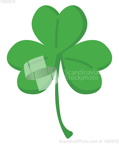 Image of Green clover with three leafs vector illustration on white backg