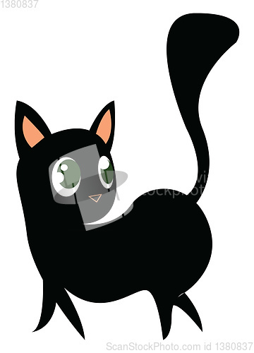 Image of A black kitten with long tail vector or color illustration