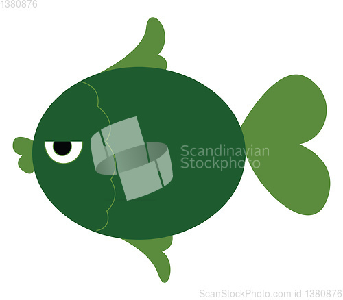 Image of A green fish vector or color illustration
