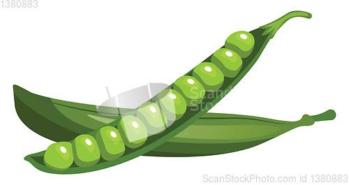 Image of Cartoon of green peas vector illustration on white background.