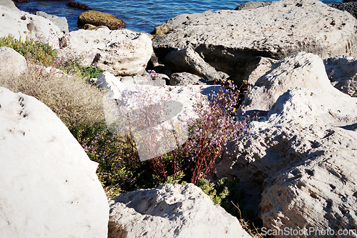 Image of Rocky coast of the Caspian Sea.