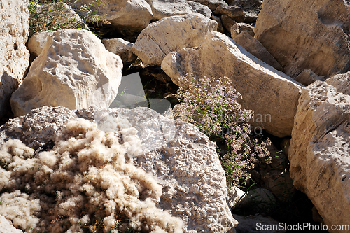 Image of Autumn coast of the Caspian Sea.