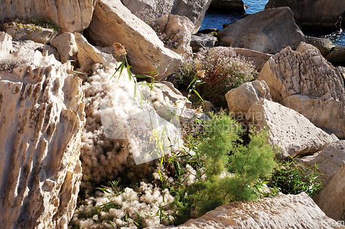 Image of Rocky coast of the Caspian Sea.