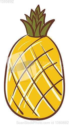 Image of Pineapple, vector or color illustration.