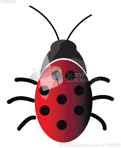 Image of A beautiful insect with red and black polka dot design in back v