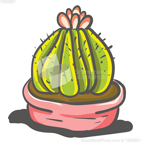 Image of Painting a of mammillary cactus with a beautiful flower at its t