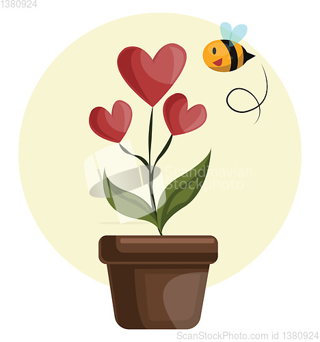 Image of House plant with hearts in stead of flowers grren leafs and flyi