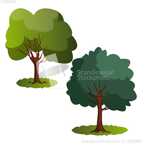 Image of Couple of green trees vector illustration on white background