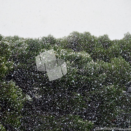 Image of dense snow storm