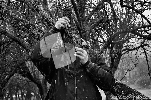 Image of man with bark peel