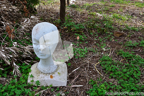 Image of mannequin styrofoam head