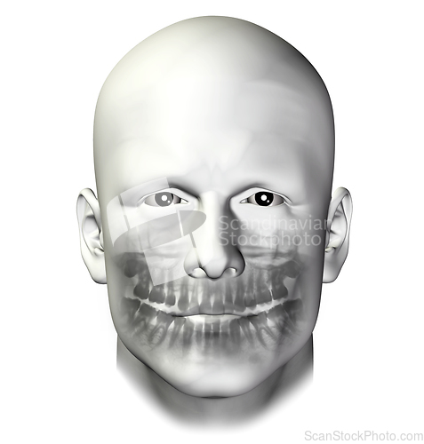 Image of teeth dental scan adult male