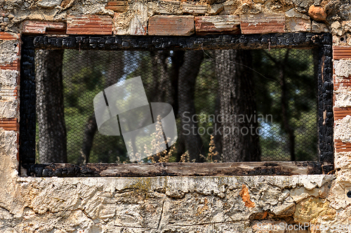 Image of burned window frame forest view