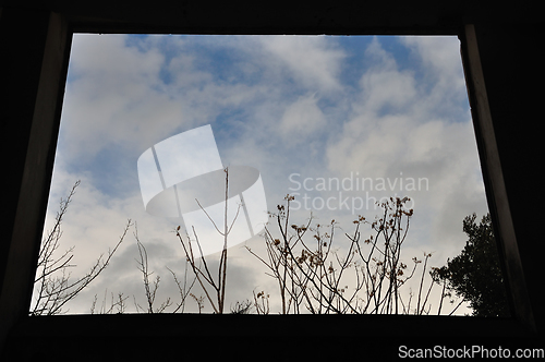 Image of window view trees and winter sky