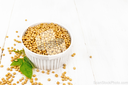 Image of Soybeans in bowl with leaf on light board