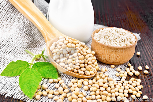 Image of Soybeans in spoon with flour on board