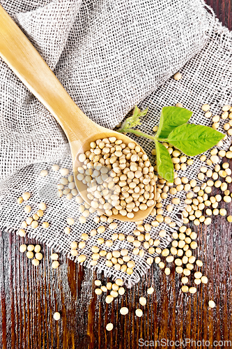 Image of Soybeans in spoon with leaf on board top