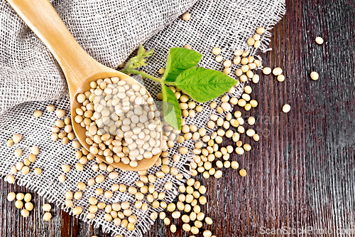 Image of Soybeans in spoon with leaf on dark board top