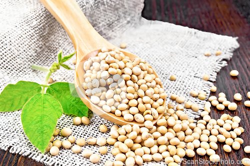 Image of Soybeans in spoon with leaf on dark board