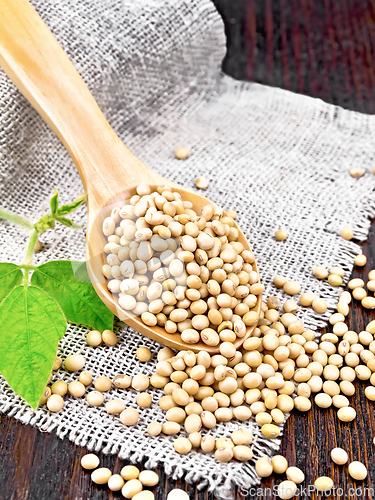 Image of Soybeans in spoon with leaf on wooden board