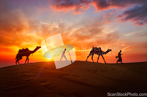 Image of Indian cameleers camel driver with camel silhouettes in dunes on sunset. Jaisalmer, Rajasthan, India