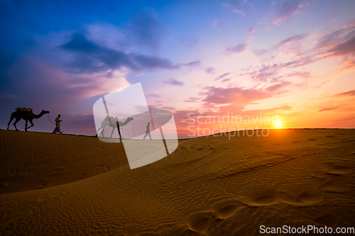 Image of Indian cameleers camel driver with camel silhouettes in dunes on sunset. Jaisalmer, Rajasthan, India