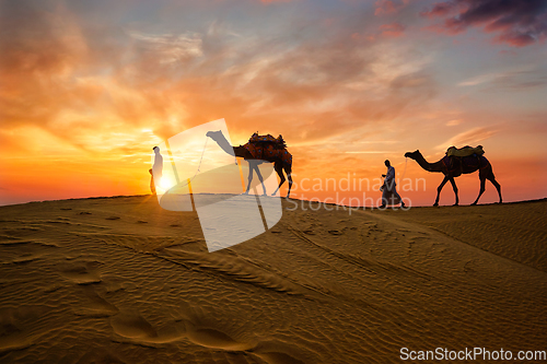 Image of Indian cameleers camel driver with camel silhouettes in dunes on sunset. Jaisalmer, Rajasthan, India