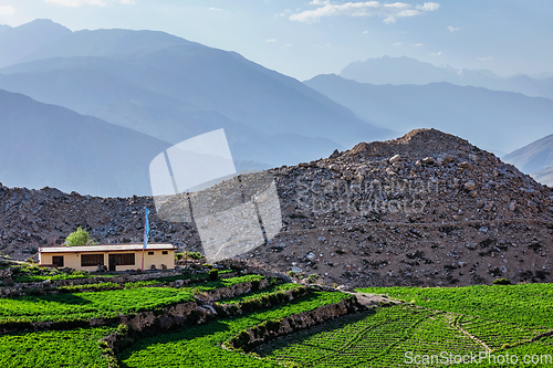 Image of Village in Himalayas